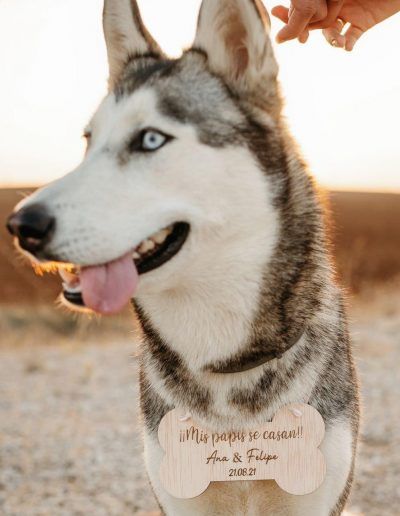 cartel personalizado perro boda